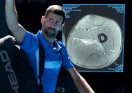 德约科维奇官方宣布败北新规，澳大利亚队引发争议！-爱游戏