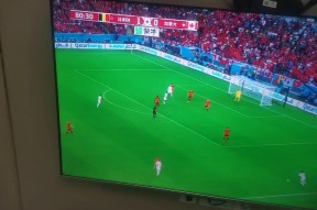 关于阿扎伦卡重返赛场，反败为胜首场状态出色，加拿大队观众沸腾！的信息-爱游戏游戏大厅